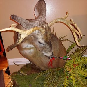 Meet your Posher, Adam